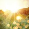 Mindfulness Tips and Techniques | Practical Mindful Practice Guide